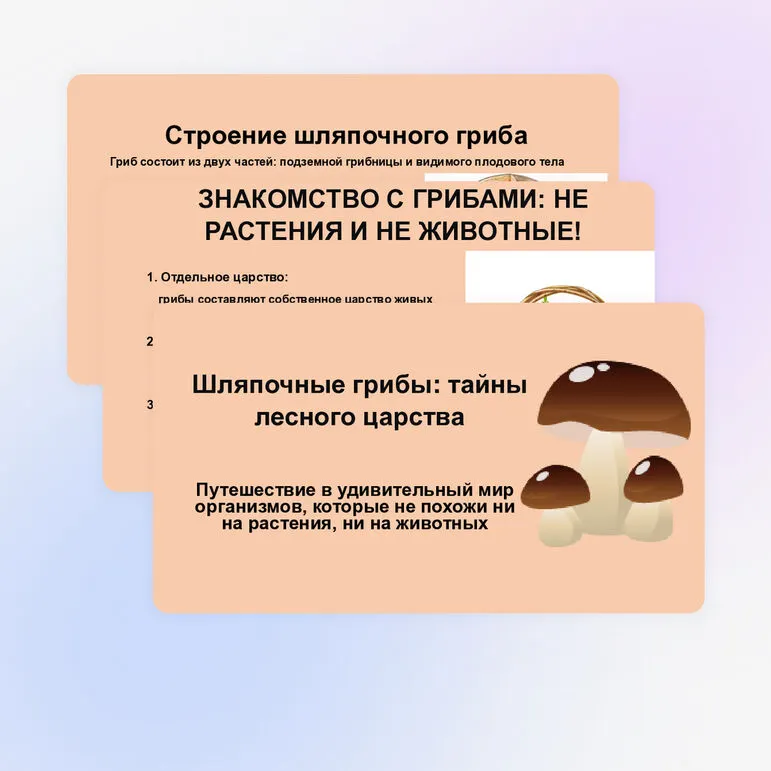Презентация 