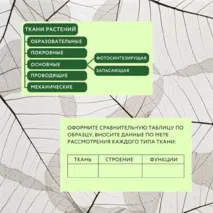 «Растительные ткани, их функции», 6 класс