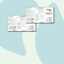 Молодежь как социальная группа. Карточка - раскладушка по Обществознанию 