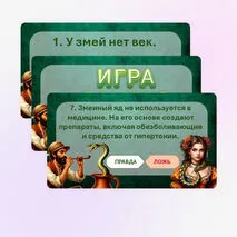 Игра 