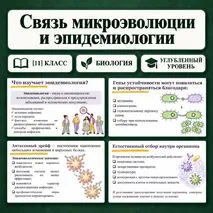 Презентация по биологии 