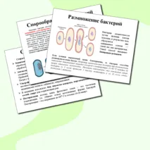 Презентация 