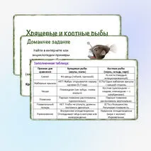 Урок «Хрящевые и костные рыбы», 8 класс