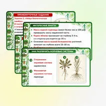 Презентация 