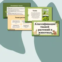 Презентации по биологии на тему:«Классификация тканей животных и растений»