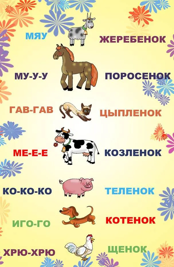 https://s13.stc.all.kpcdn.net/share/i/4/848212/inx960x1511.jpg