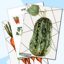 Пазлы «Овощи».