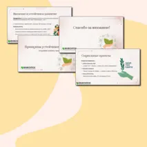 Презентация 