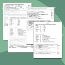 Рабочие листы «Контрольная работа по английскому языку 10 класс, модуль 3, Spotlight»