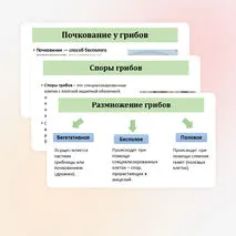 Презентация по биологии «Общая характеристика грибов» 7 класс