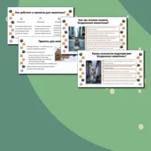 Презентация «Международный день защиты бездомных животных — 16 августа»