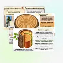 Презентация «Виды и свойства конструкционных материалов. Древесина. Практическая работа 