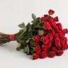 Михайлова Светлана Ивановна