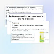 Презентация «Разбор задания 23 при подготовке к ОГЭ по биологии».