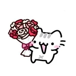 котик