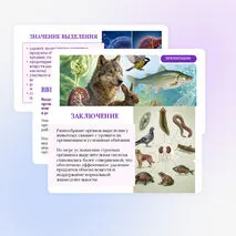 Презентация по биологии «Выделение у животных» для 8 класса