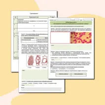 Лабораторная работа «Исследование плазмолиза и деплазмолиза в растительных клетках» (профильный уровень)