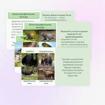 Презентация по биологии 