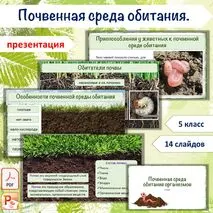 Презентация «Почвенная среда обитания организмов», 5 класс