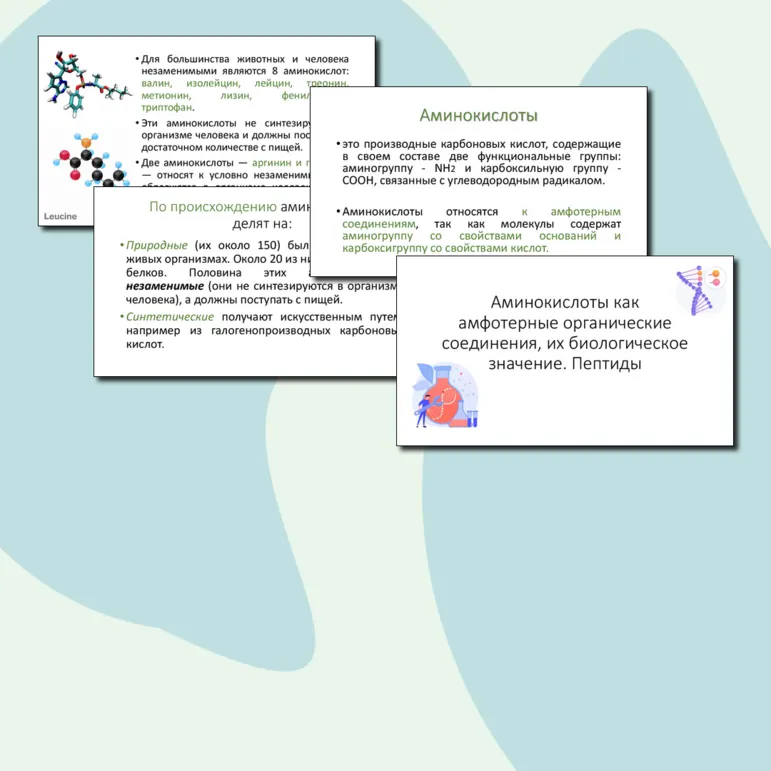 Презентация по теме 