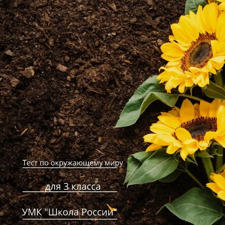 Тест по окружающему миру 
