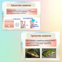 Комплект к уроку биологии 
