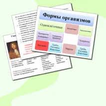 Презентация 