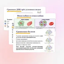 Презентация 