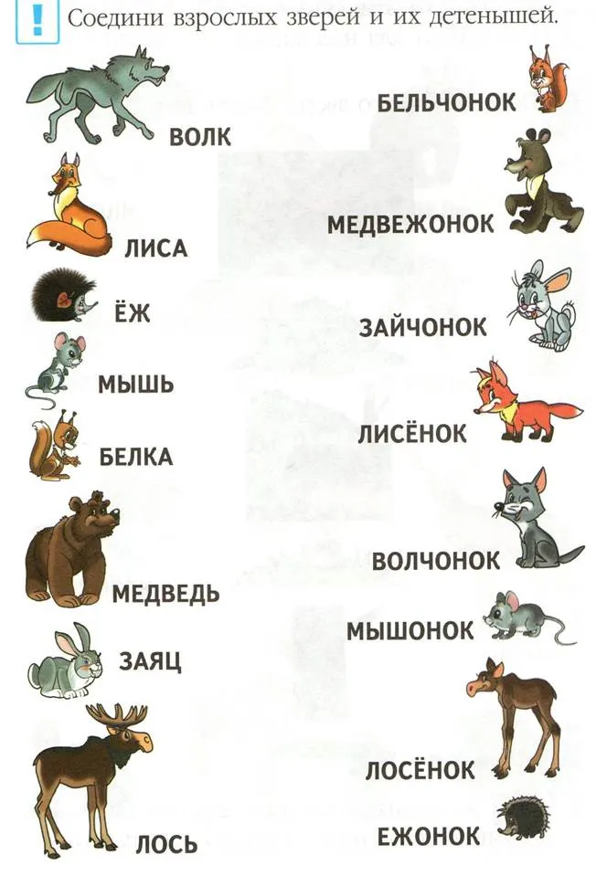 https://kartinki.pics/uploads/posts/2022-12/thumbs/1670264553_2-kartinkin-net-p-kartinki-dikie-zhivotnie-i-ikh-detenishi-p-2.jpg