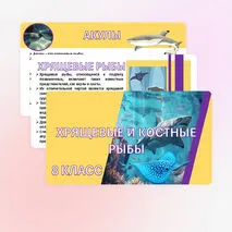 Презентация «Хрящевые и костные рыбы». Биология 8 класс.