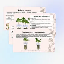 Презентация «Эксперимент в биологических исследованиях» 5 класс