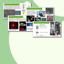 Презентация по биологии 