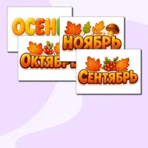 Оформление 