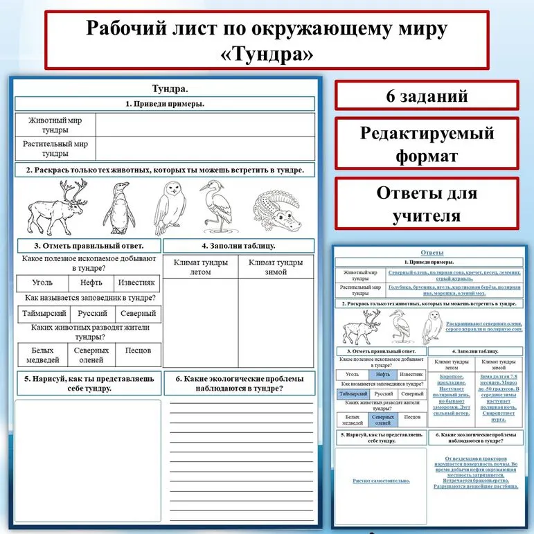 Рабочий лист по окружающему миру на тему: «Тундра». Природные зоны России.