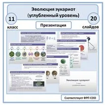 Презентация «Эволюция эукариот» 11 класс (углубленный уровень)