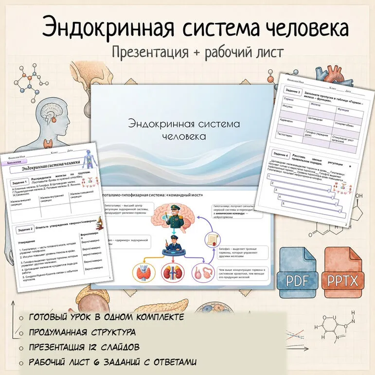 Комплект материалов «Эндокринная система человека» (презентация + рабочий лист) по биологии (9 класс)