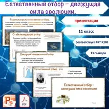 Презентация «Естественный отбор», 11 класс
