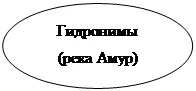 Овал: Гидронимы
(река Амур)