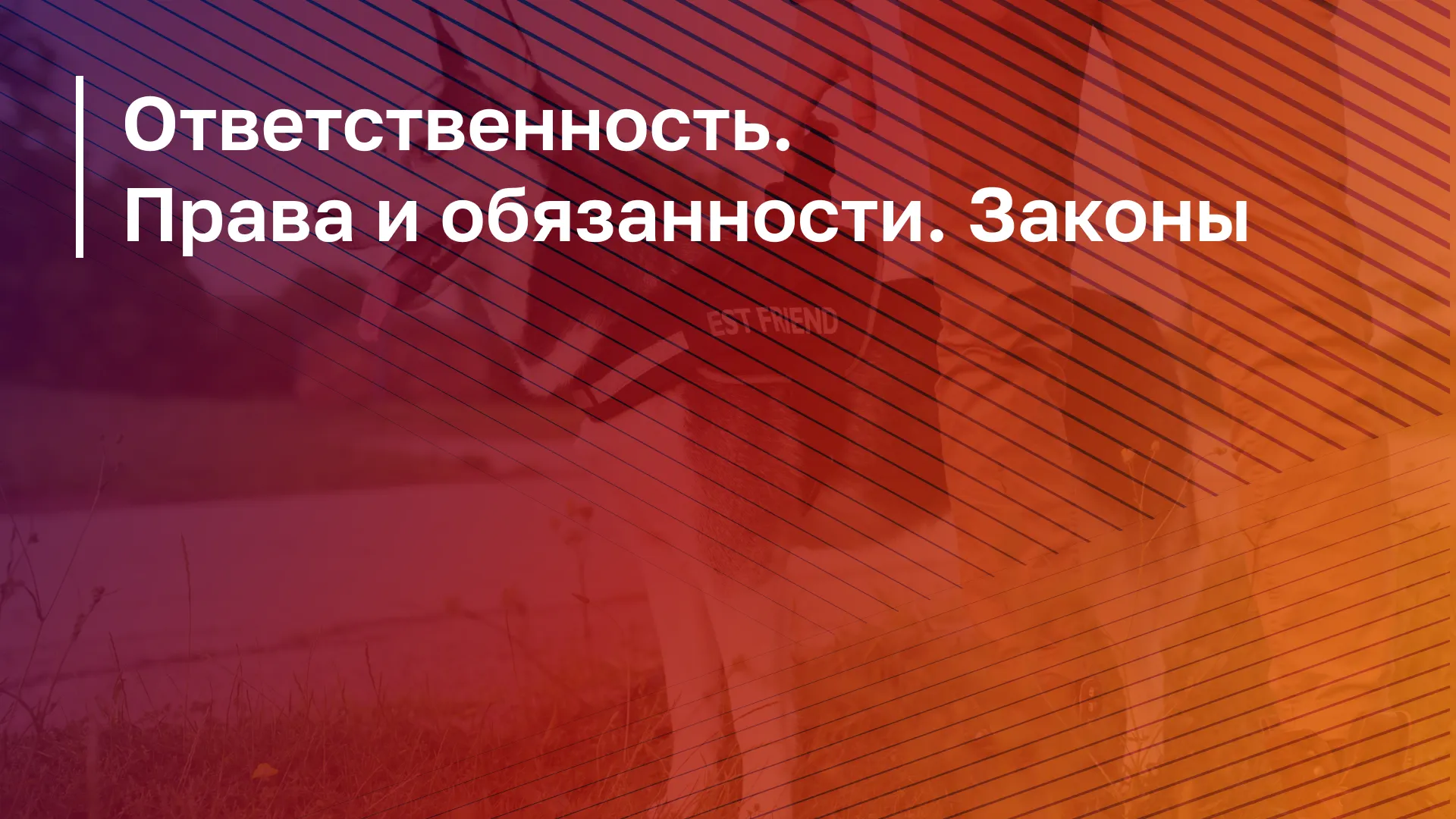 Обложка курса