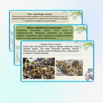Презентация 