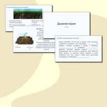 Комплект (презентация + рабочий лист) 