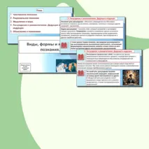Презентация «Виды, формы и методы познания».