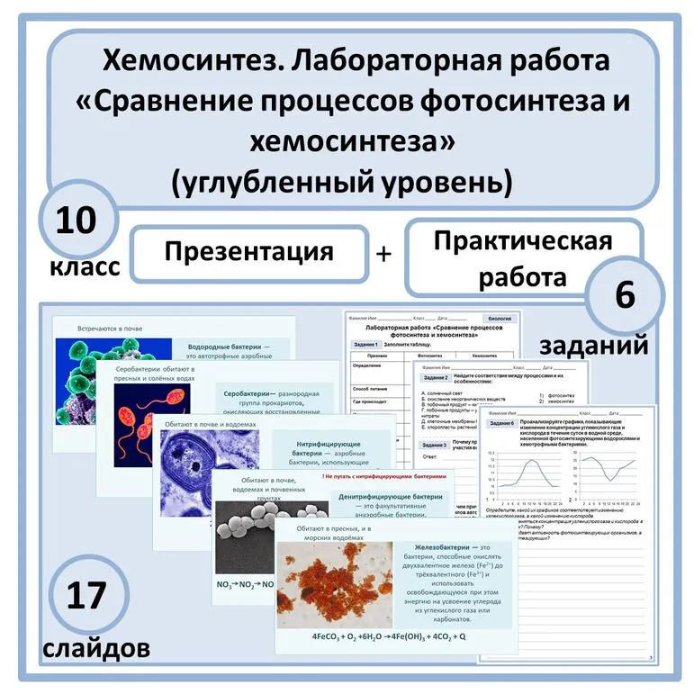 Комплект по биологии (презентация + лабораторная работа) 