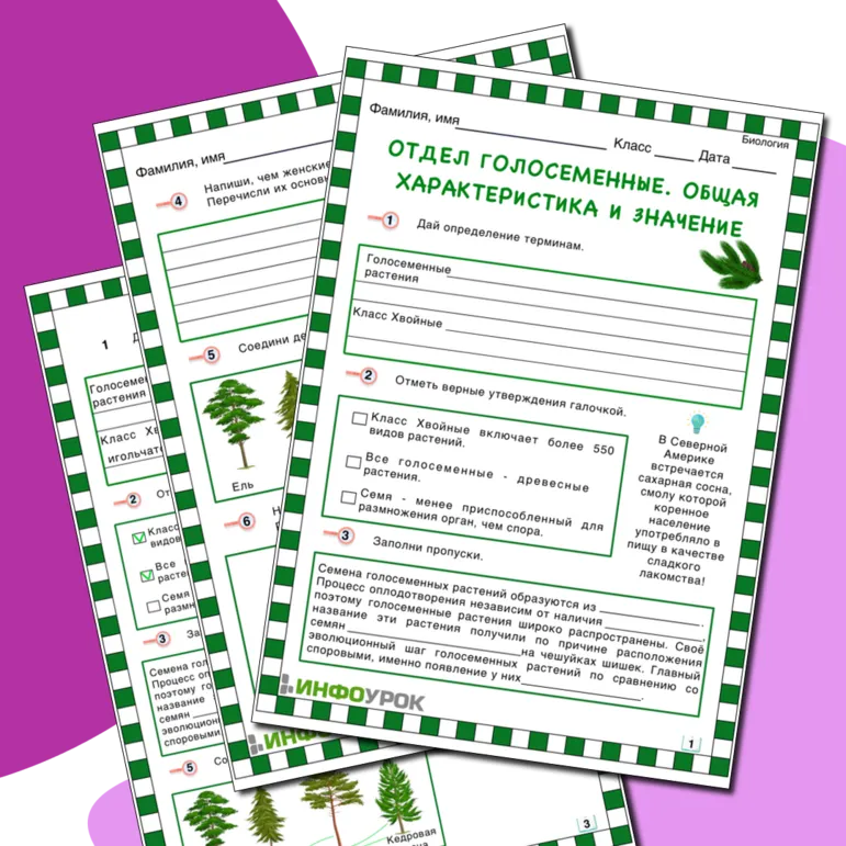 Отдел Голосеменные. Общая характеристика и значение