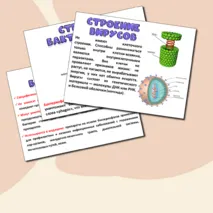 Презентация «Вирусы-неклеточная форма жизни». Биология 10 класс.