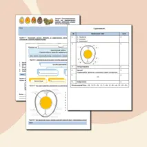 Практическая работа «Строение яйца и развитие зародыша птицы (курицы)»