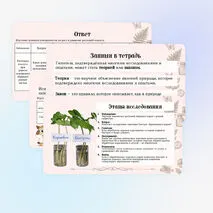 Презентация «Эксперимент в биологических исследованиях» 5 класс