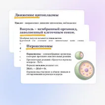 Презентация 