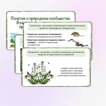 Презентация «Понятие о природном сообществе. Взаимосвязи организмов в природных сообществах», 5 класс