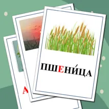 Картинный словарь к учебнику 